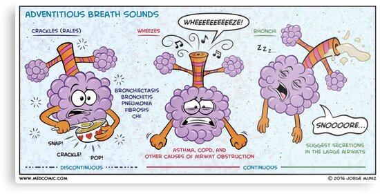 adventitious breath sounds of pneumonia