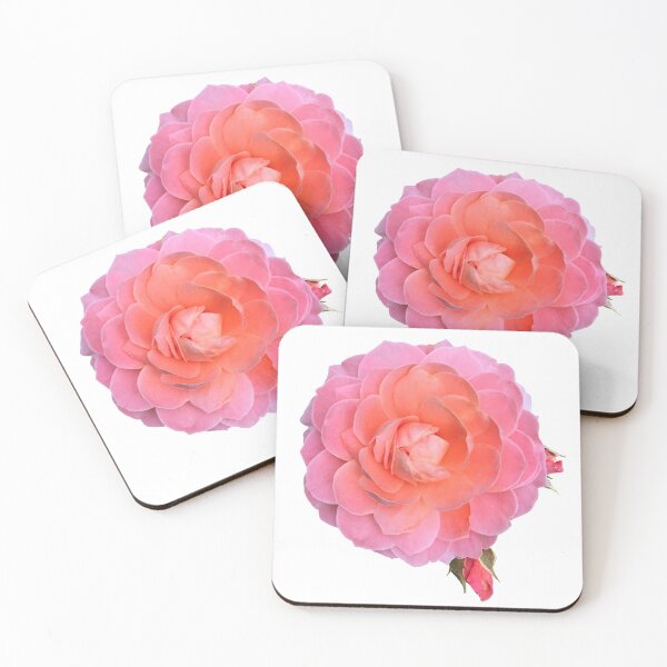 Item preview, Pink Blooming Rose with Buds designed and sold by Sherri-Lee Lavender.
