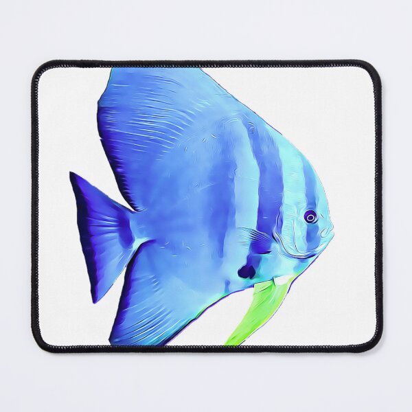 Item preview, Longfin Spadefish designed and sold by OceanVentures.