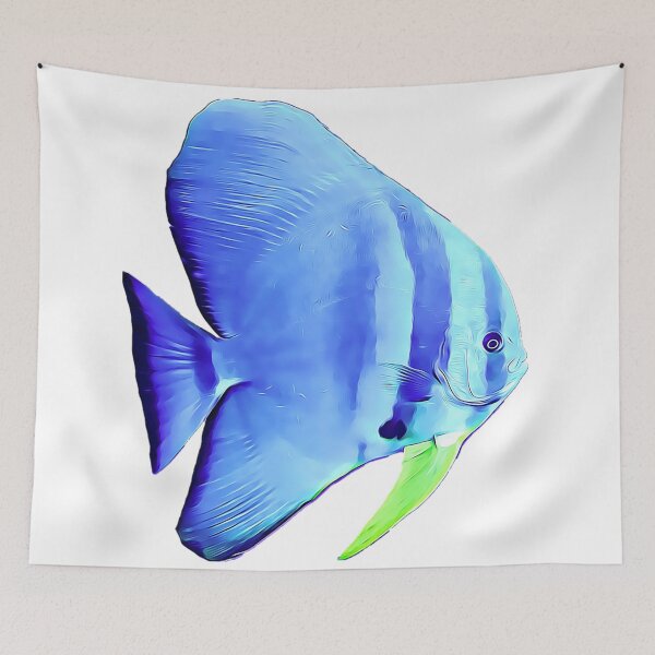 Item preview, Longfin Spadefish designed and sold by OceanVentures.