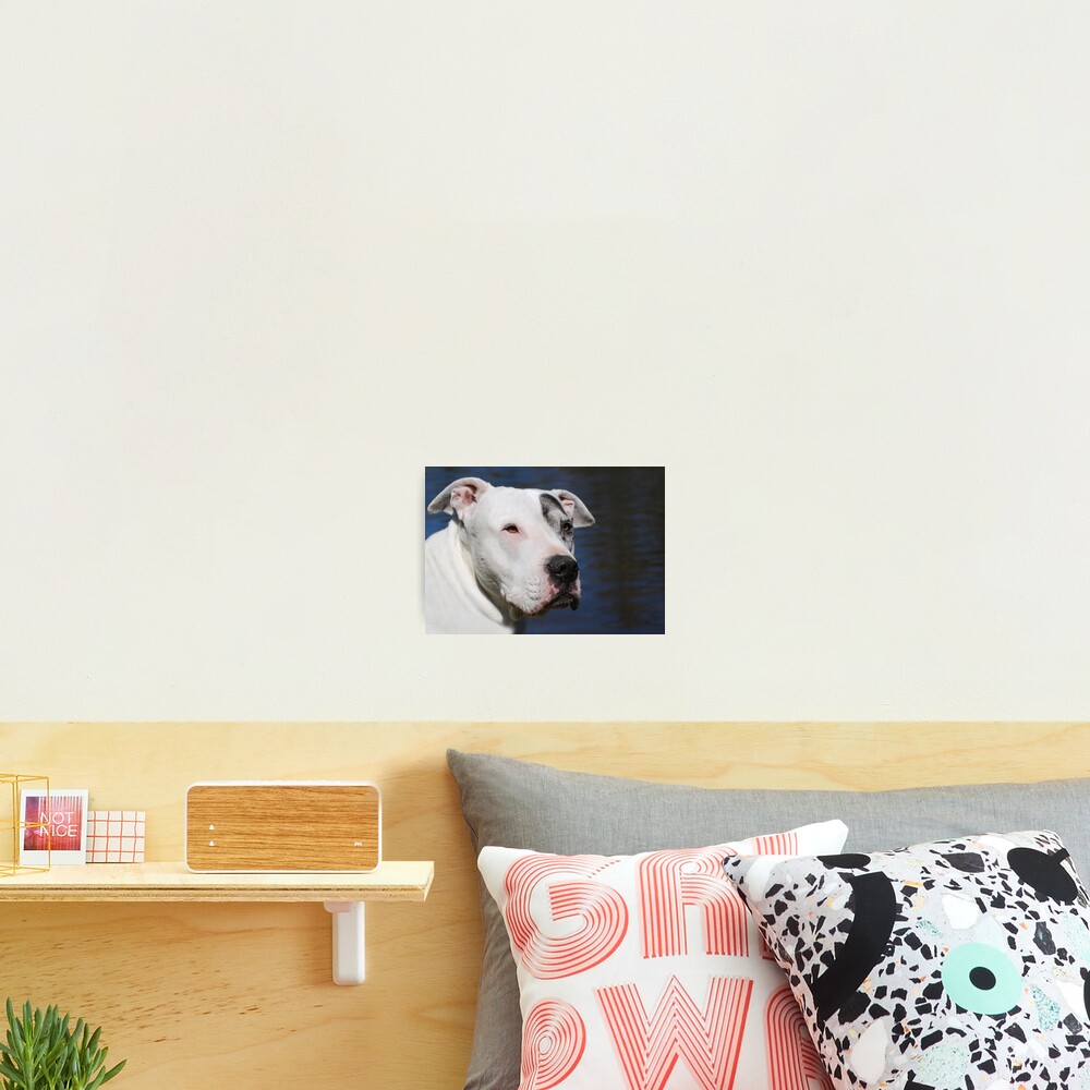 Item preview, Photographic Print designed and sold by LaurieMinor.