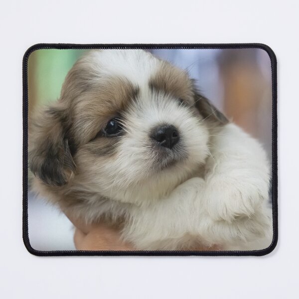 Item preview, puppy love designed and sold by likbatonboot.