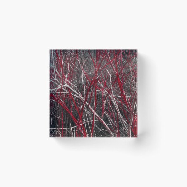 Item preview, Monochrome Red Black and White Nature Shot of Winter Trees designed and sold by KatTheBandit.