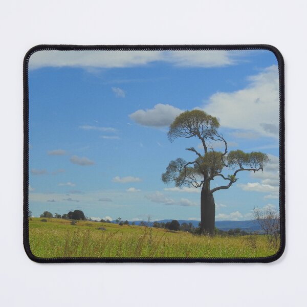 Item preview, Large Queensland Bottle Tree designed and sold by AussieAl.