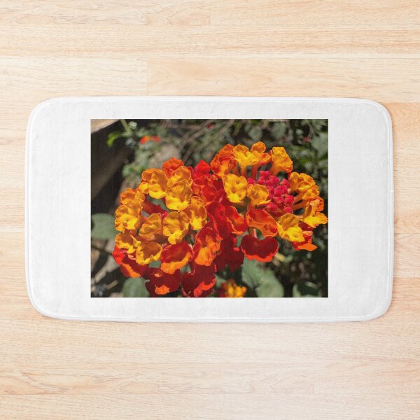 Item preview, Heavenly designed and sold by SpaceRiver.