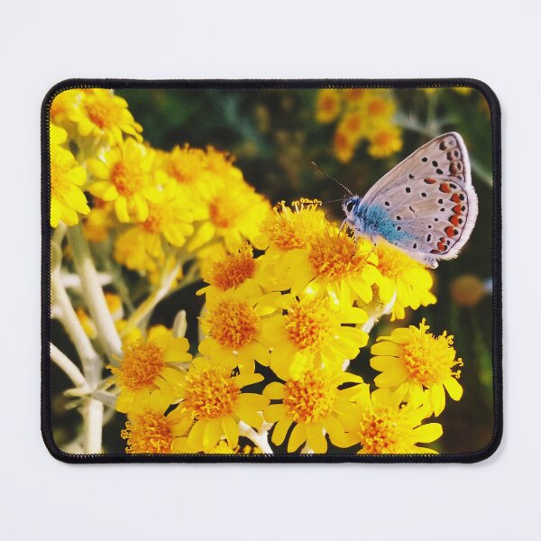 Item preview, A painted lady on small yellow flowers designed and sold by helenkaiy.