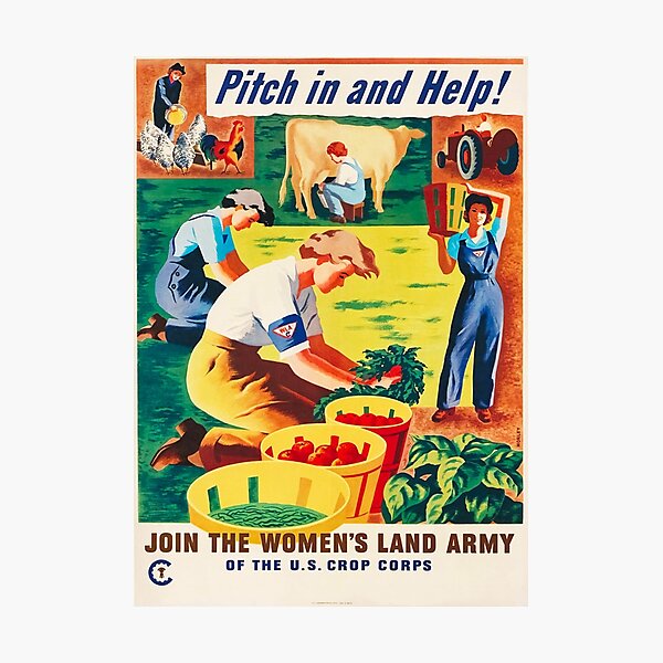 U.S. Crop Corps Women's Land Army Propaganda Poster to "Pitch In And Help!" Photographic Print