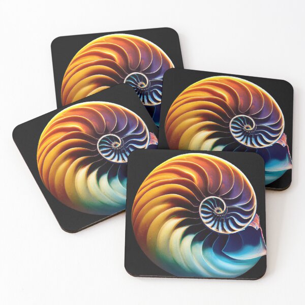 Item preview, Nautilus Shell , in Rainbow Color designed and sold by phillipbooth.