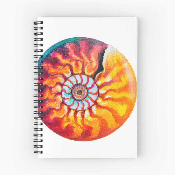 Aperçu de l'œuvre Nautilus Shell, en couleur arc-en-ciel créée et vendue par phillipbooth.