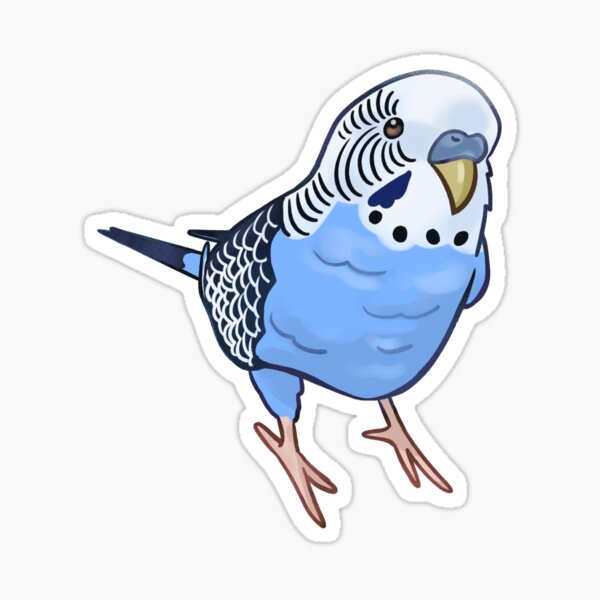 Flying Blue Budgie Decal Australian Blue/white Budgie 