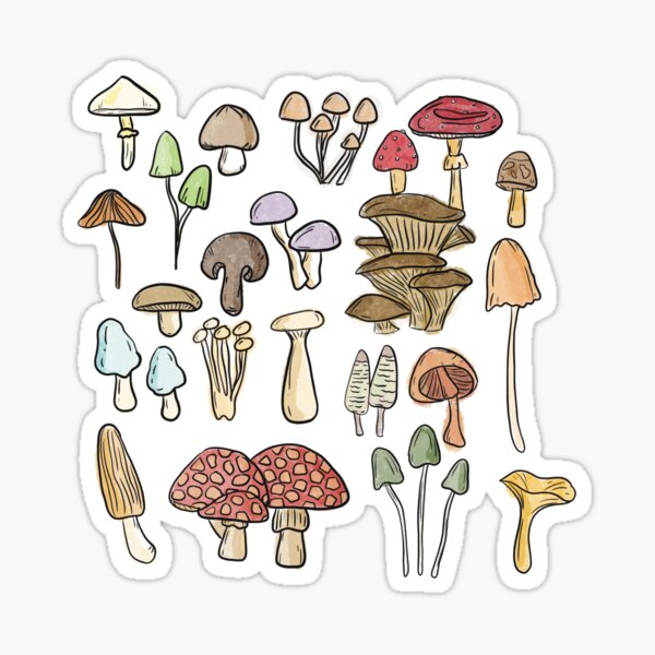 Autumn Mushrooms Sticker Pack Set - Mushroom Stickers - Cute - Decal cut
