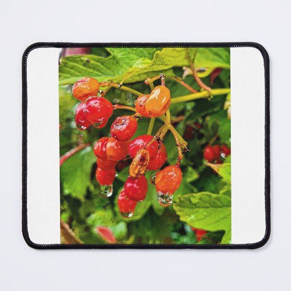 Item preview, wild fruit designed and sold by barbich.