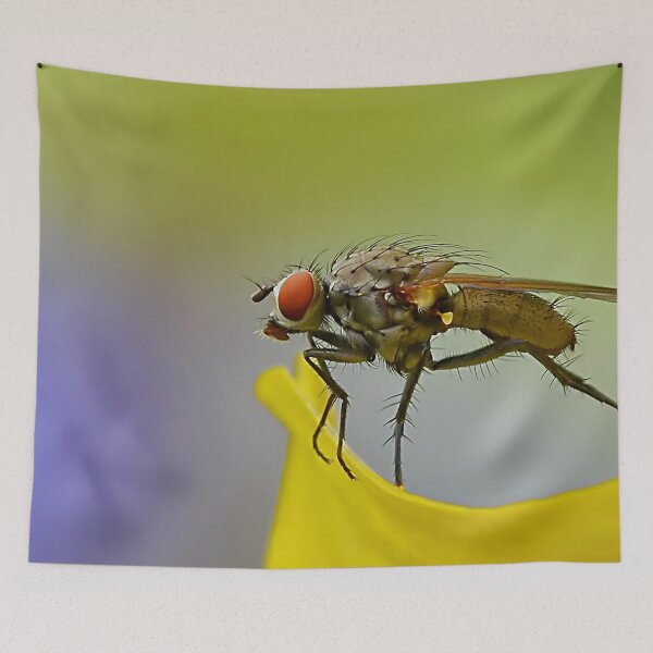 Item preview, Fly on Petal designed and sold by relayer51.