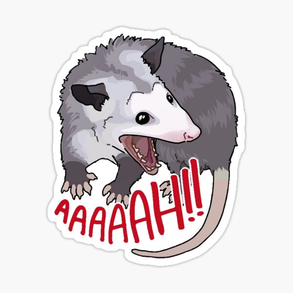 Aperçu de l'œuvre Opossum Live Laugh Love créée et vendue par Graphicphattee.