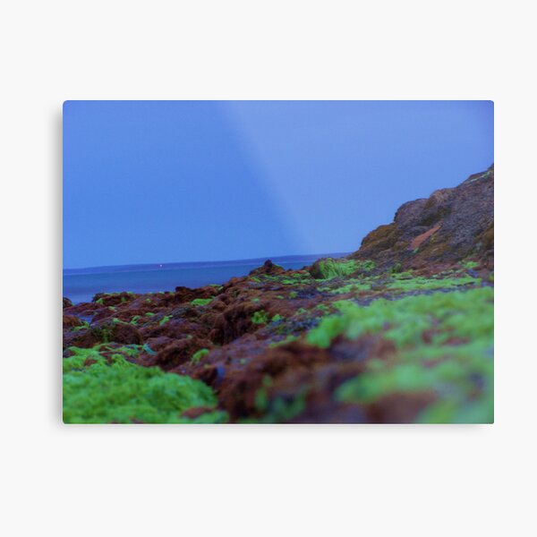 Striking Green Metal Print