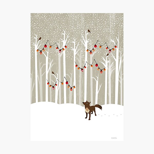 December Photographic Print
