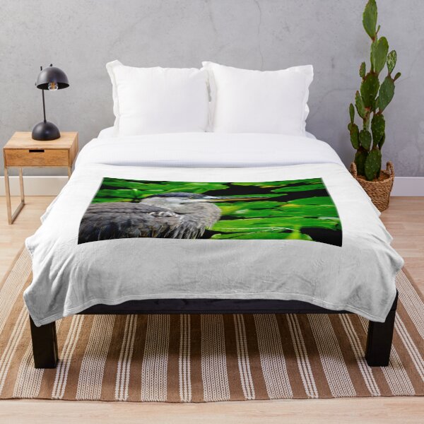 Item preview, Garza en el estanque de lirios designed and sold by BBrightman.