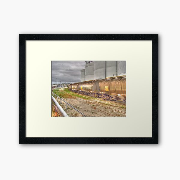 Four in a Line Framed Art Print