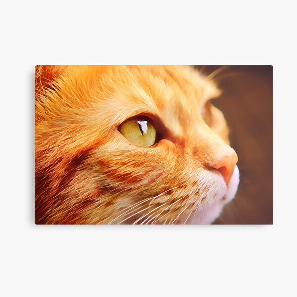Item preview, Ginger Cat designed and sold by Inyeneart.