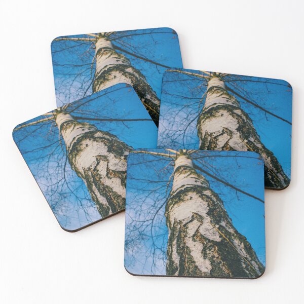 Item preview, Silver Birch Tree (No Watermark) designed and sold by MikeSpence.