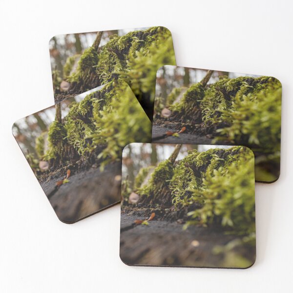 Item preview, Mossy Shoot (No Watermark) designed and sold by MikeSpence.