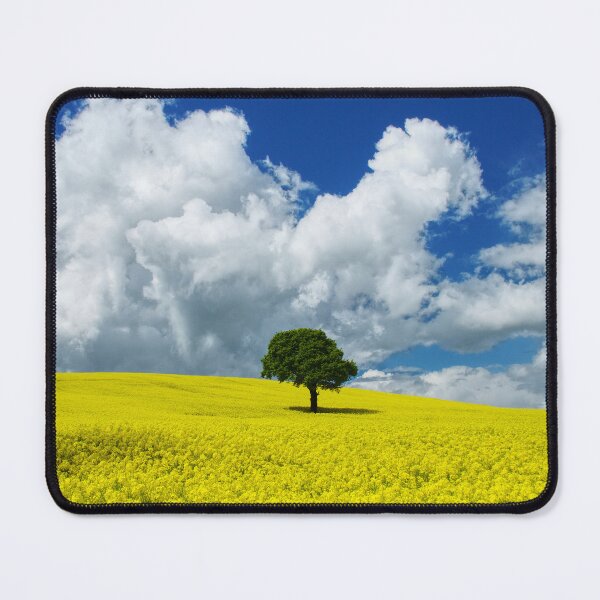 Item preview, Yorkshire Oilseed Field designed and sold by Alisonchambers2.