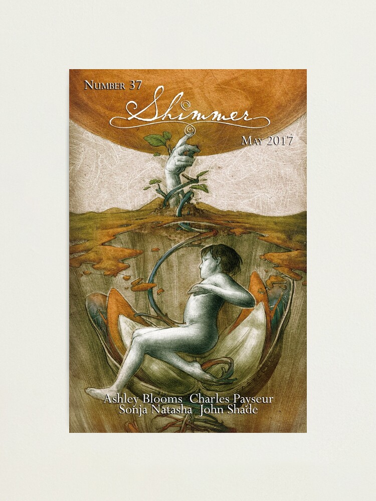 Thumbnail 1 of 3, Photographic Print, Fallow by Sandro Castelli for Shimmer #37 designed and sold by bethwodzinski.
