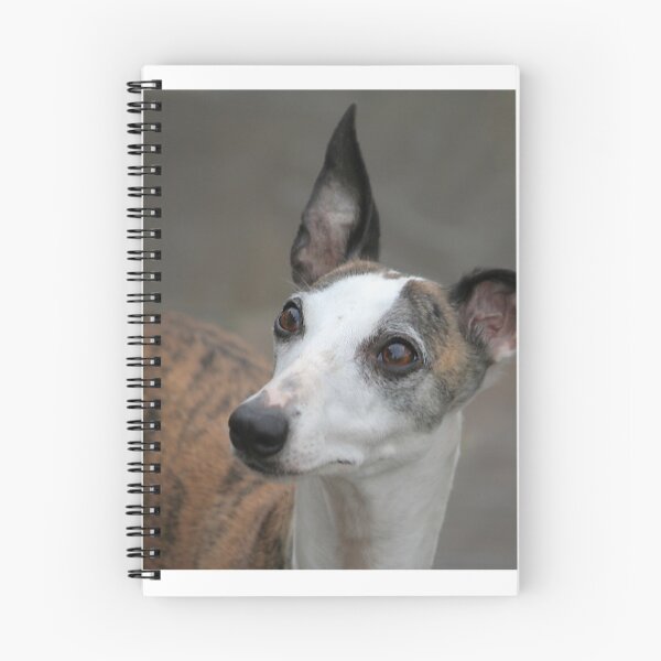 Item preview, Whippet dog designed and sold by AnthonyThomas.