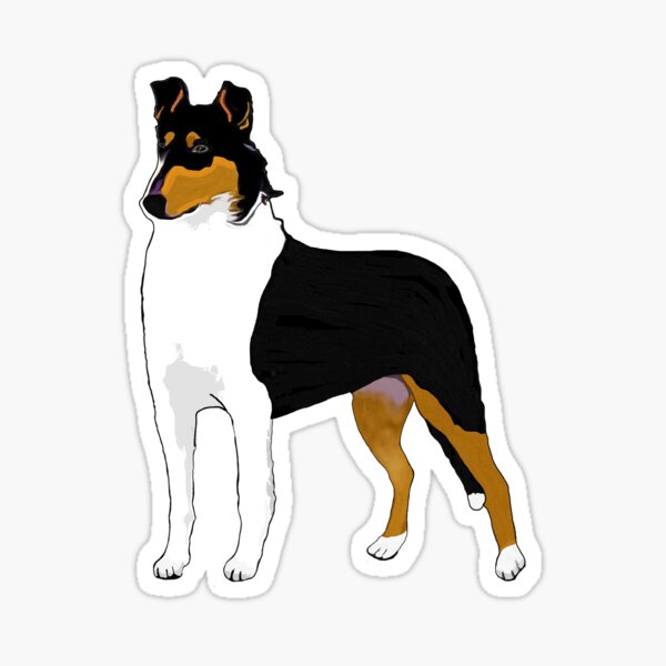 Item preview, Black Smooth Collie for Dog Lovers / Tri-color Collie  designed and sold by tchilipepper.