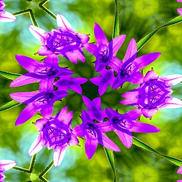 Artwork thumbnail, Bell Flower Pattern by Patternflower