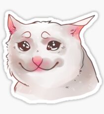 Crying cat Sticker