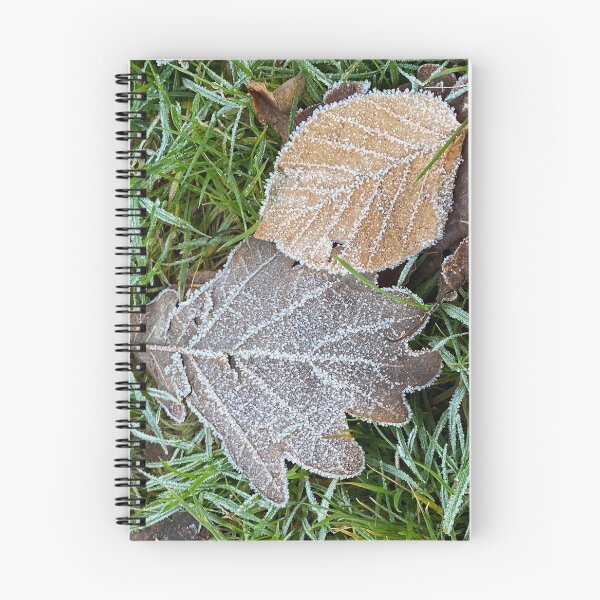 Artikelvorschau, Die ersten Anzeichen des Winters mit Reif auf den Blättern entworfen und verkauft von Paddyb17.