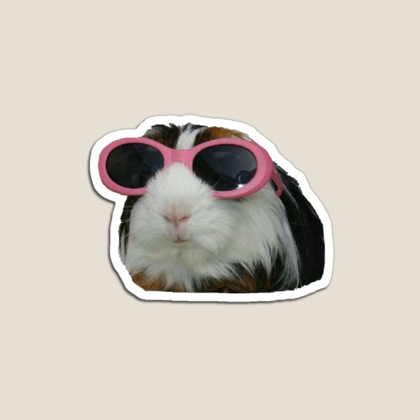 Guinea Pig in Sunglasses Magnet