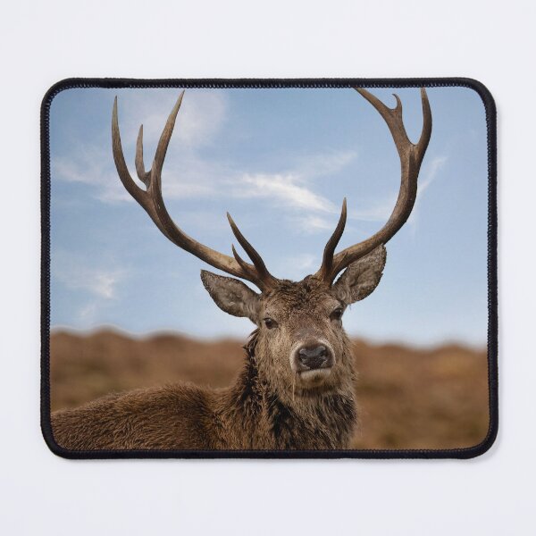 Item preview, Red Deer Stag with Antlers designed and sold by derekbeattie.