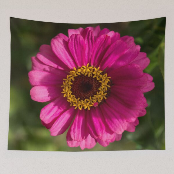 Item preview, Viva Magenta - One Splendiferous Double Flowered Zinnia designed and sold by Georgia Mizuleva.