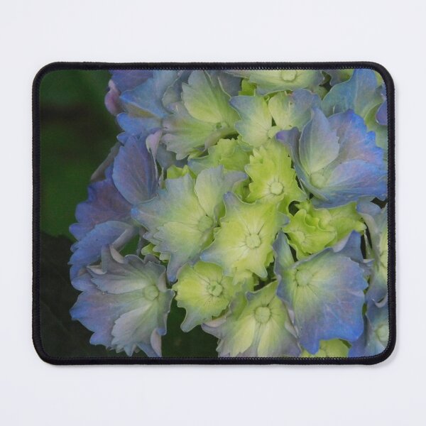 Item preview, Hydrangeas designed and sold by Jane Izzy Designs.