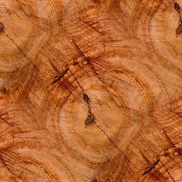 Artwork thumbnail, Tree rings pattern by AdioraStore