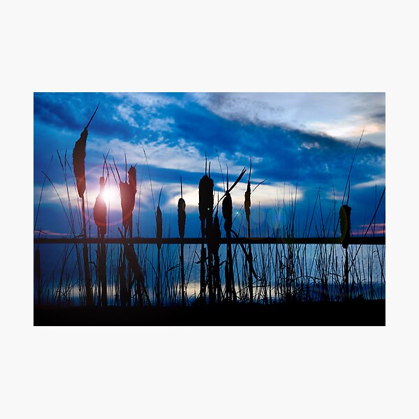 Photographic Print