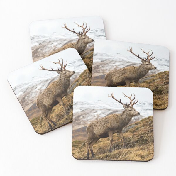 Item preview, Royal Red Deer Stag in Winter designed and sold by derekbeattie.
