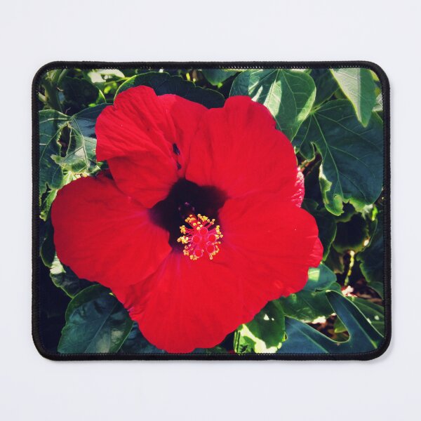 Item preview, Red Trop Flower designed and sold by unbleepable.