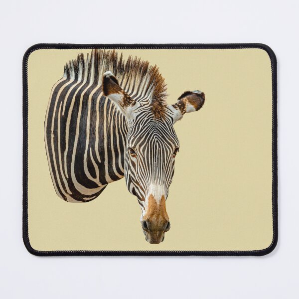 Item preview, Zebra looking at you designed and sold by Dalyndigital Photography.