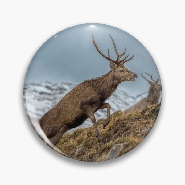 Item preview, Red Deer Stags in Winter designed and sold by derekbeattie.