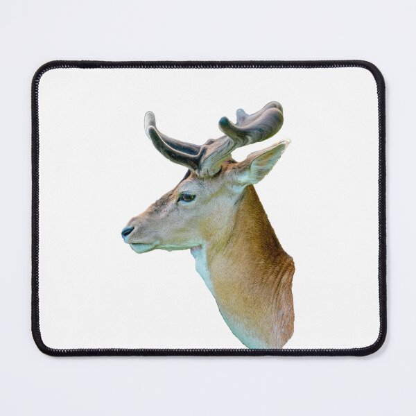Item preview, Fallow Deer Buck in velvet designed and sold by Dalyndigital Photography.