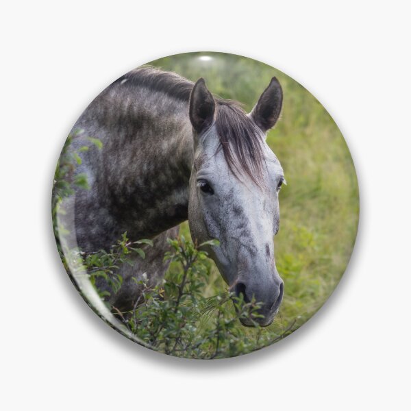 Item preview, A Horse Behind The Bushes designed and sold by Nicklas81.