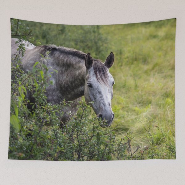 Item preview, A Horse Behind The Bushes designed and sold by Nicklas81.