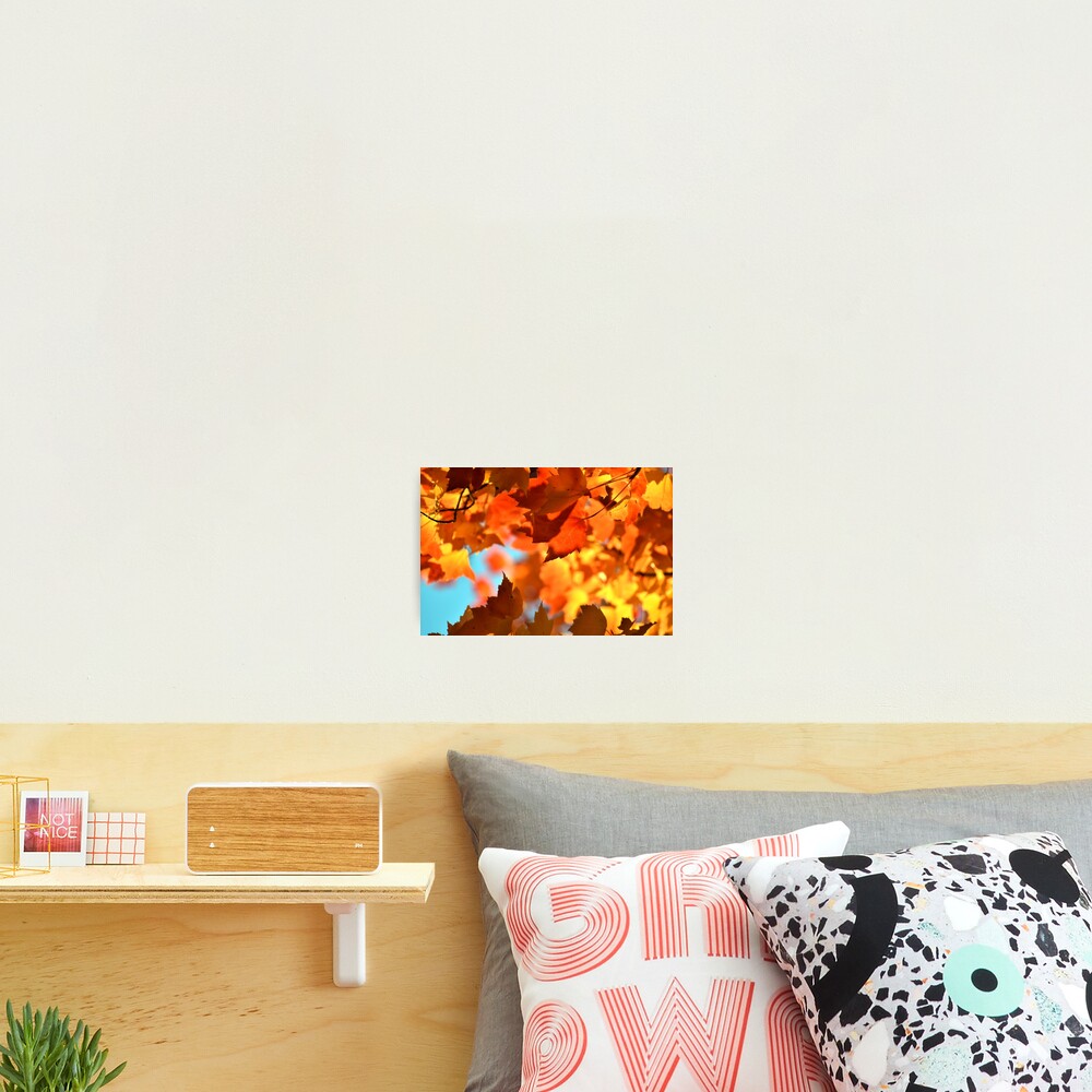 Item preview, Photographic Print designed and sold by drpendleton.