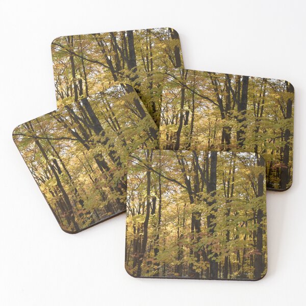Item preview, A maple grove in the fall designed and sold by Claude Laprise.