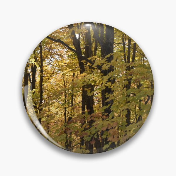 Item preview, A maple grove in the fall designed and sold by Claude Laprise.