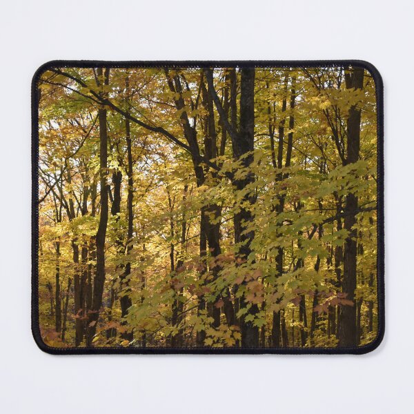Item preview, A maple grove in the fall designed and sold by Claude Laprise.