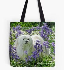 Snowdrop the Maltese - in the Bluebell Woods Tote Bag